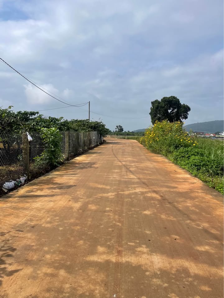 Lô đất Hiệp Thạnh, Đức Trọng 85m² giá 1.05 tỷ - Đầu tư lý tưởng!