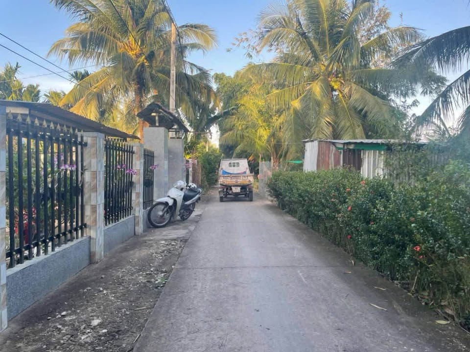 Đất Hòa Mỹ, Phụng Hiệp 11.600m² giá chỉ 1.856 tỷ - Đầu tư sinh lời ngay!