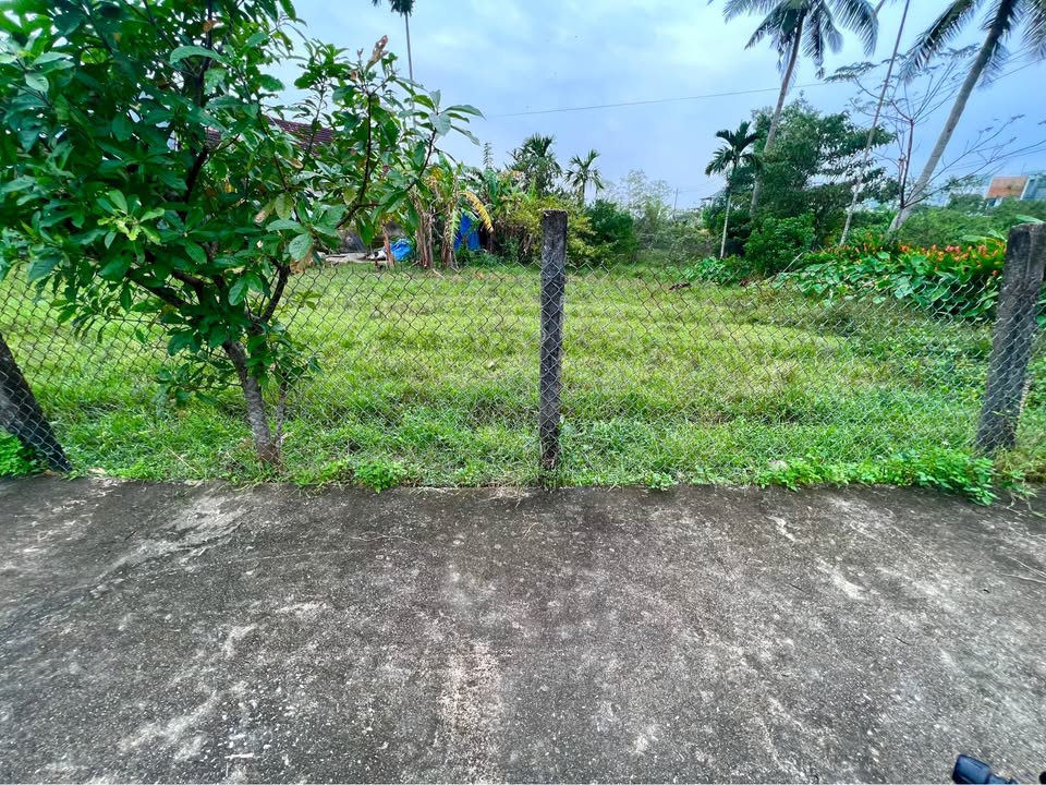 Đất nền phường Trường Xuân, Tam Kỳ 110m² giá 850 triệu - Đường bê tông thuận lợi!