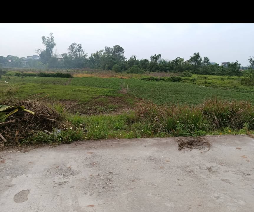 Đất thổ cư 140m² thôn Thanh Lãng, Minh Hòa, Hưng Hà - Vị trí đẹp, dân cư văn minh!