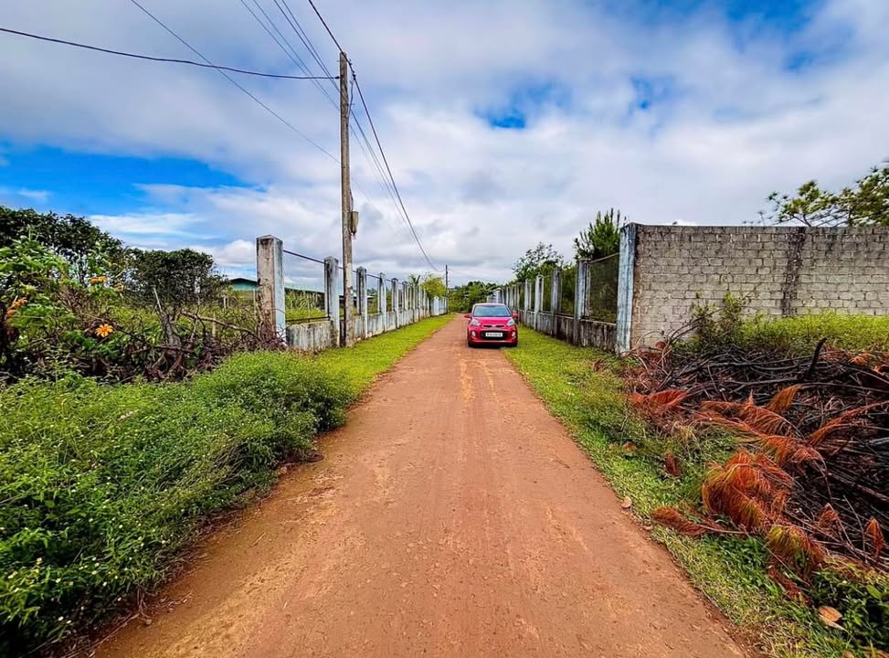 Đất nền lô góc 2 mặt hẻm Trường Chinh, Pleiku 125m² giá chỉ 350 triệu - Cơ hội đầu tư hấp dẫn!