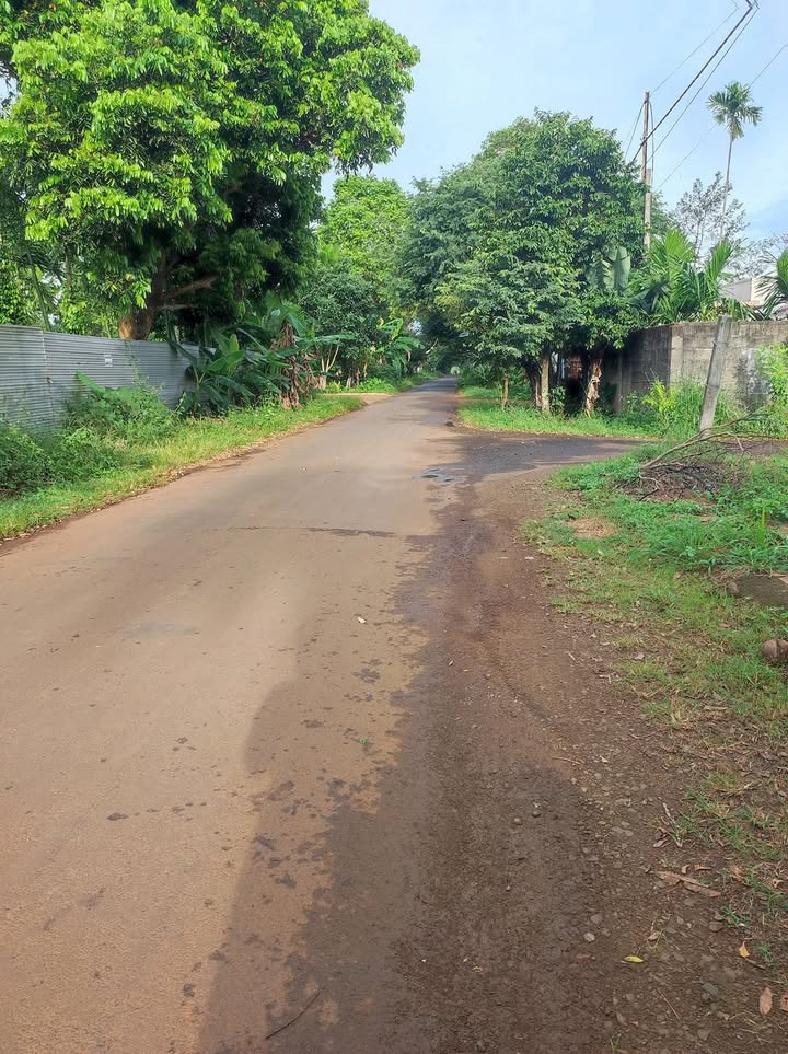 Đất mặt tiền Nguyễn Thái Bình, Tân Lập 1169m² giá 6.5 tỷ - Đầu tư sinh lời cao!