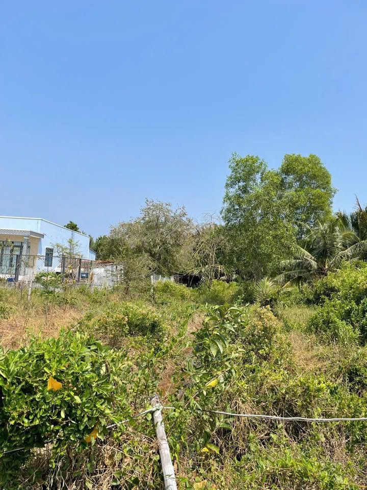 Đất Hiệp Phước Nhà Bè 4116m² giá 8.01 tỷ - Đầu tư sinh lời ngay hôm nay!