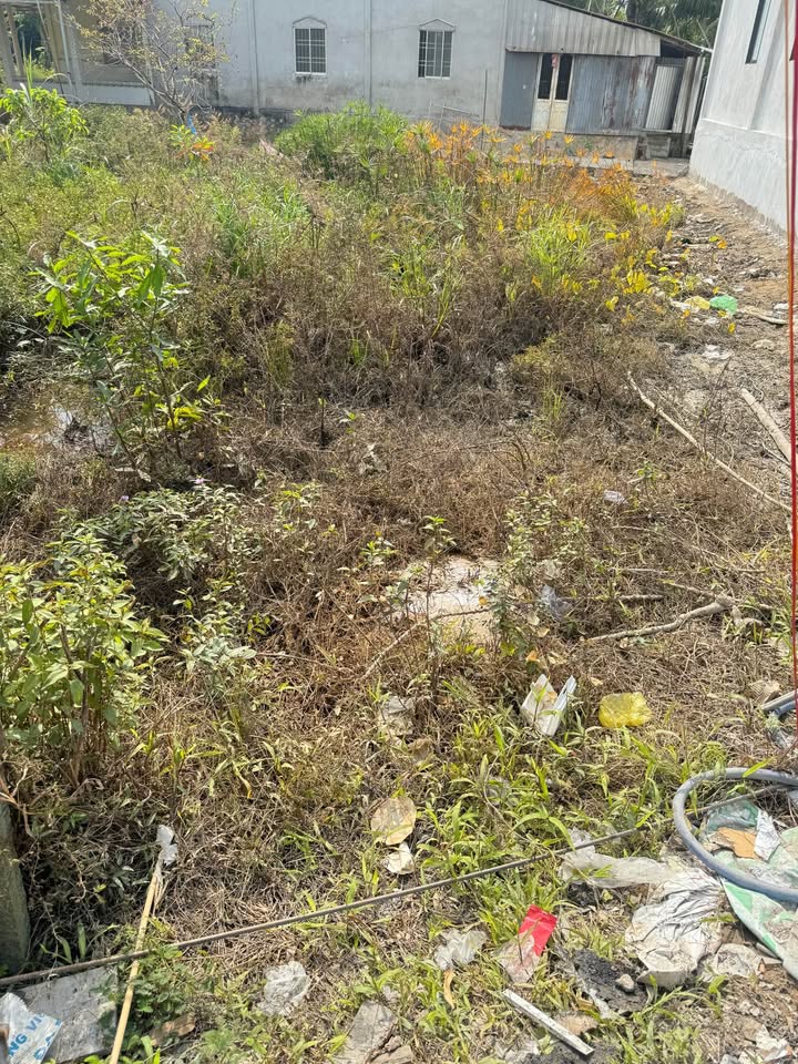 Đất nền Tân Phú Trung Đồng Tháp 110m² giá 240 triệu - Sổ hồng chính chủ