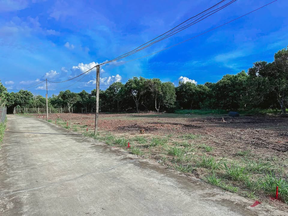 Đất nền Phường Bình Lộc - Long Khánh 300m² giá chỉ 790 triệu - Cơ hội đầu tư tuyệt vời!