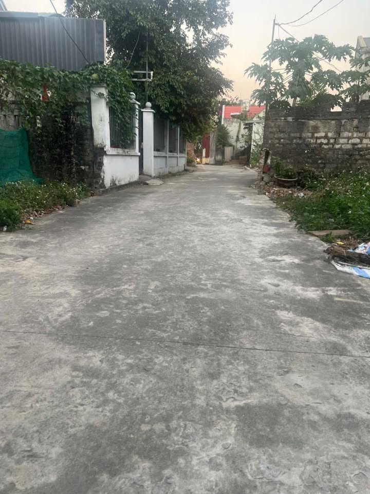 Lô đất thổ cư Dinh Hương Hiệp Hòa 70m² giá 1.5 tỷ - Đầu tư sinh lời cao!