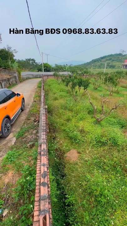 Đất vườn Phượng Sơn Lục Ngạn 2548m² - Siêu phẩm nghỉ dưỡng lý tưởng!