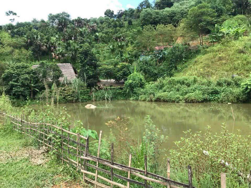 Trang trại đẹp tại xã Liêm Phú, Lào Cai 6000m² - Chính chủ bán gấp!