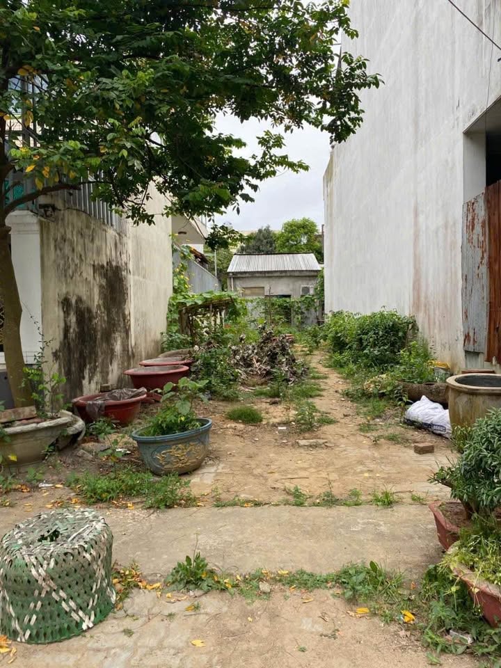 Đất tái định cư Hòa Thọ Đông 100m² giá 6 tỷ - Sổ hồng riêng, đầu tư tiềm năng!