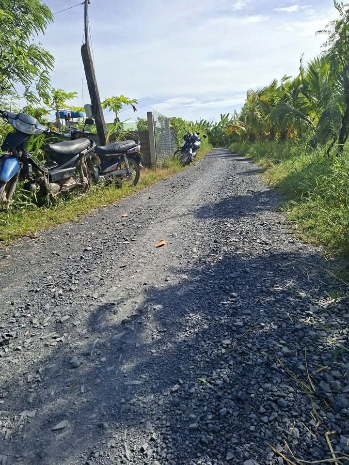 Đất nền 6600m² Ấp Nam, Tân Điền - Giá chỉ 2.046 tỷ, cơ hội đầu tư tuyệt vời!