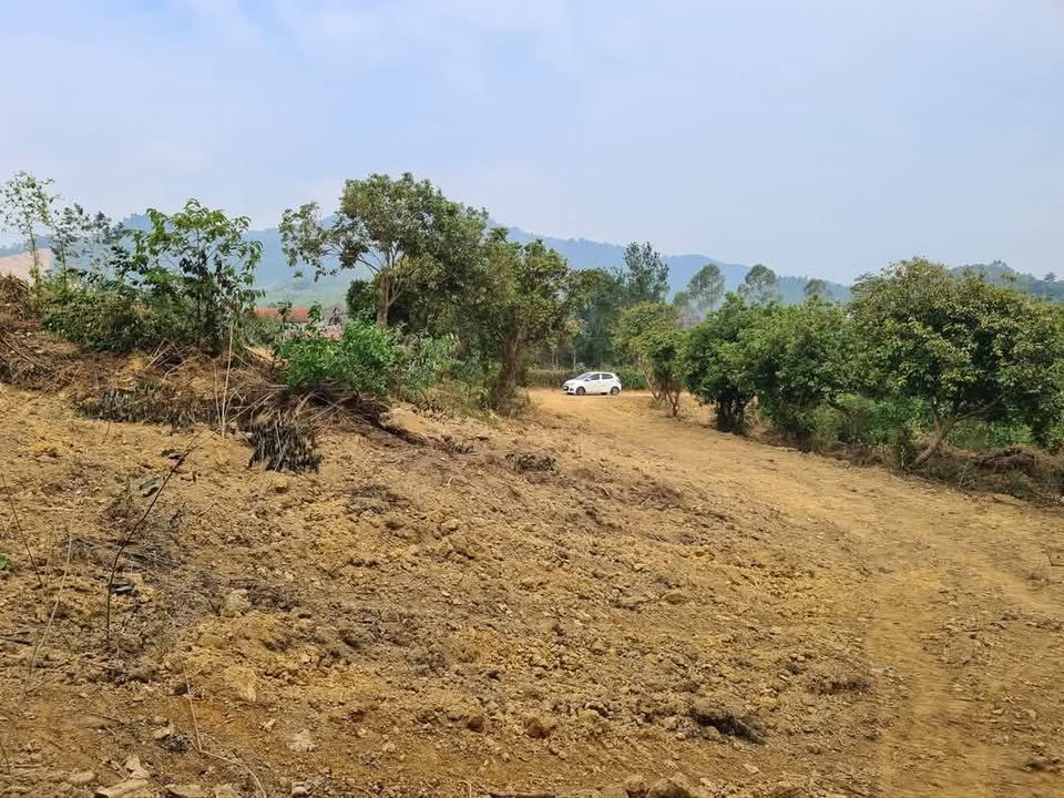 Đất nền Ngọc Thanh Phúc Yên 4600m² giá 2 triệu/m² - Đầu tư sinh lời vượt trội!