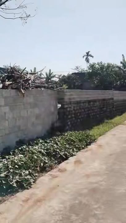 Đất nền Quỳnh Châu 256m² giá 500 triệu - Đầu tư sinh lời ngay!