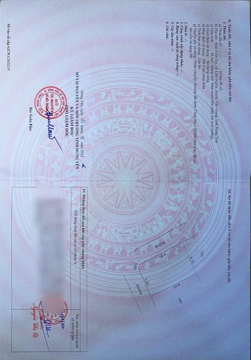 Đất nền Liên Nghĩa Văn Giang 55m² - Vị trí đắc địa, tiềm năng tăng giá!