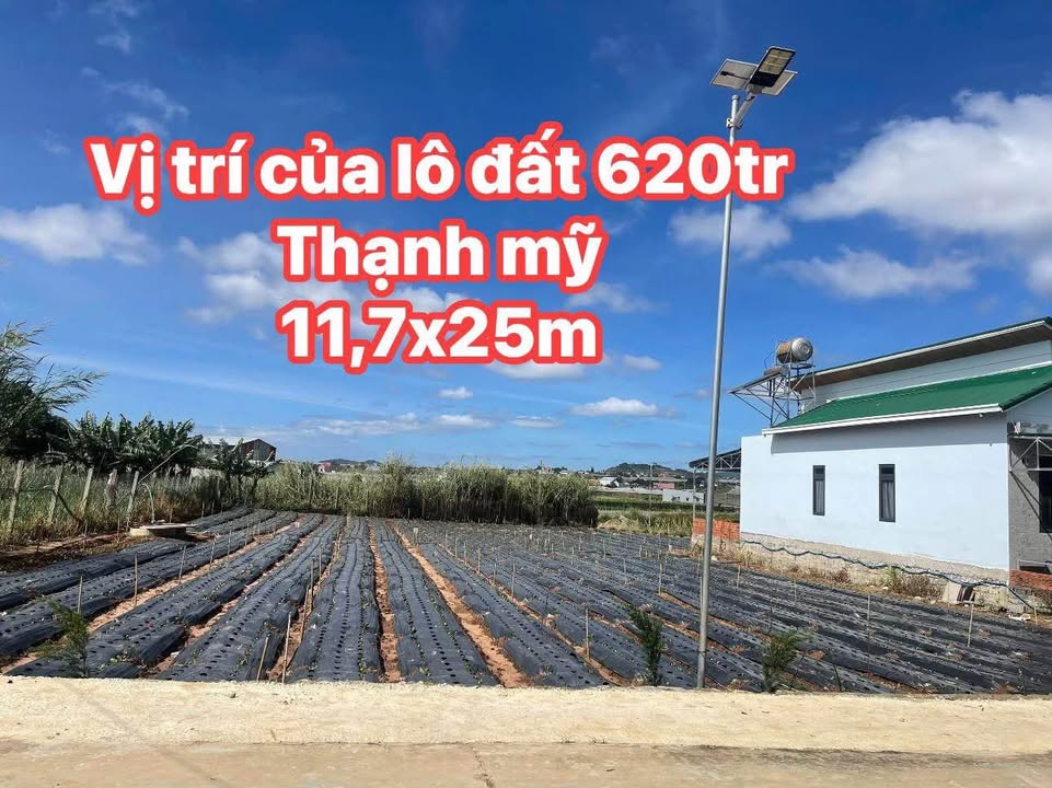 Đất thổ cư Thị Trấn Thạnh Mỹ 292m² giá 620 triệu - Vị trí đẹp, đầy đủ tiện ích!