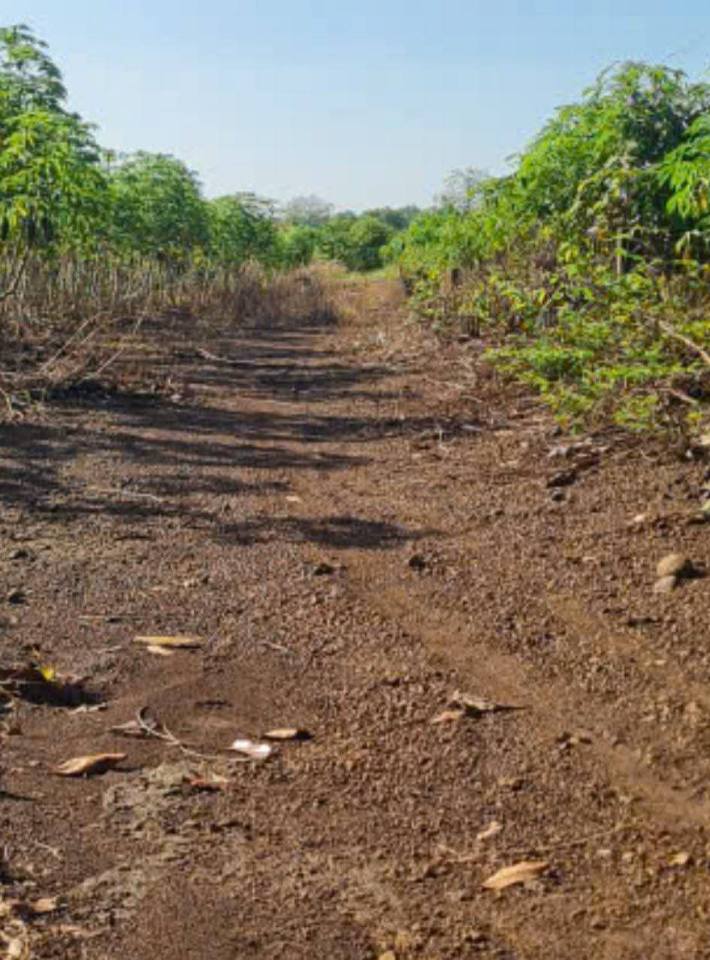 Đất nền Suối Nghệ 1000m² giá 900 triệu - Cơ hội đầu tư hấp dẫn!