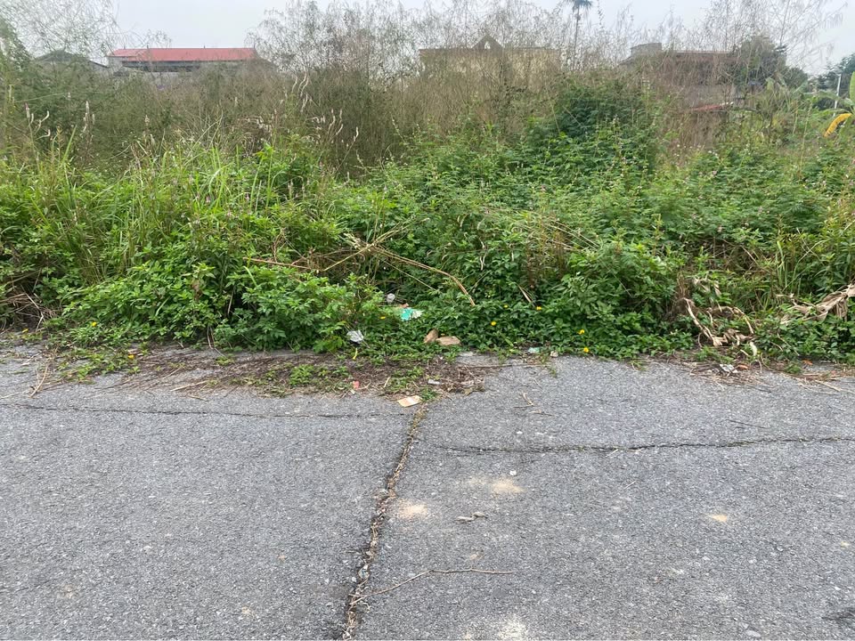 Đất nền Mộ Đạo, Quế Võ 80m² giá 1 tỷ - Đầu tư sinh lời ngay!