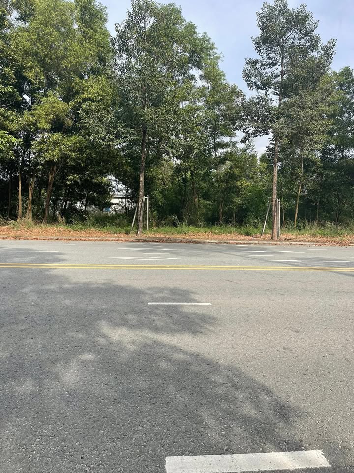 Đất nền đường DA1, phường Thới Hòa, 300m² giá chỉ 4 tỷ - Cơ hội đầu tư không thể bỏ lỡ!