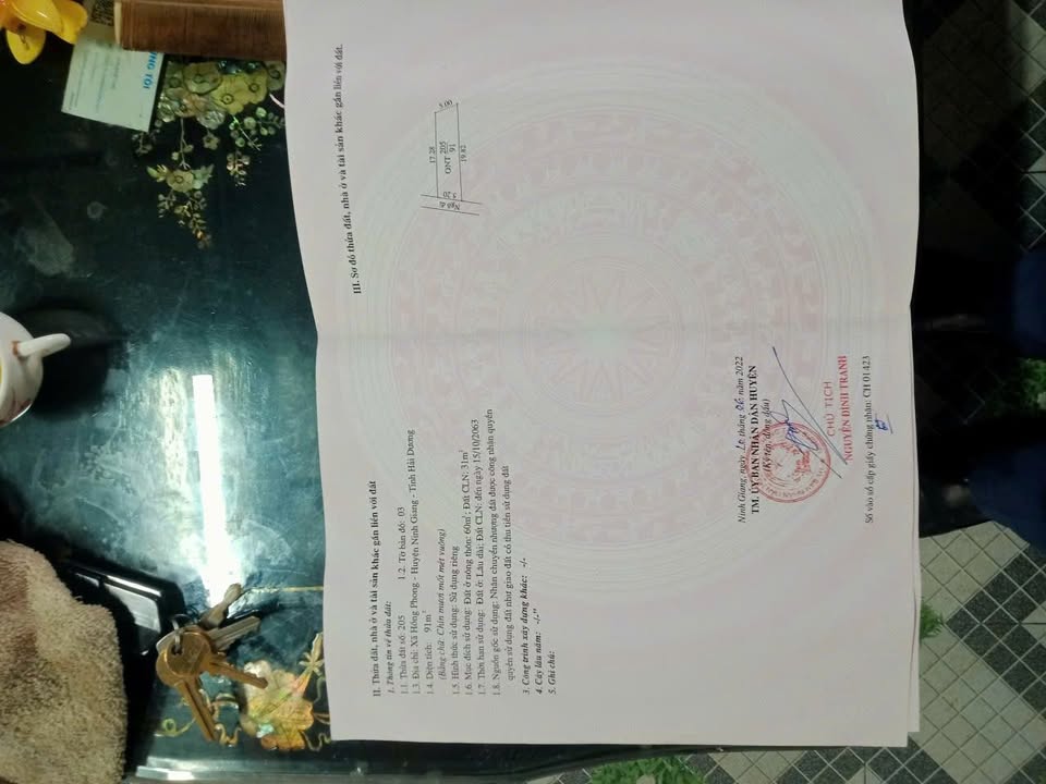 Đất nền Hồng Phong, Ninh Giang 180m² giá chỉ 1 tỷ - Đầu tư sinh lời ngay!