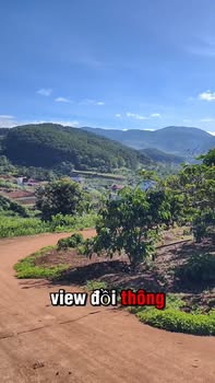 Đất nền Nam Ban Lâm Hà 659m² giá chỉ 1.75 tỷ - View rừng thông tuyệt đẹp!