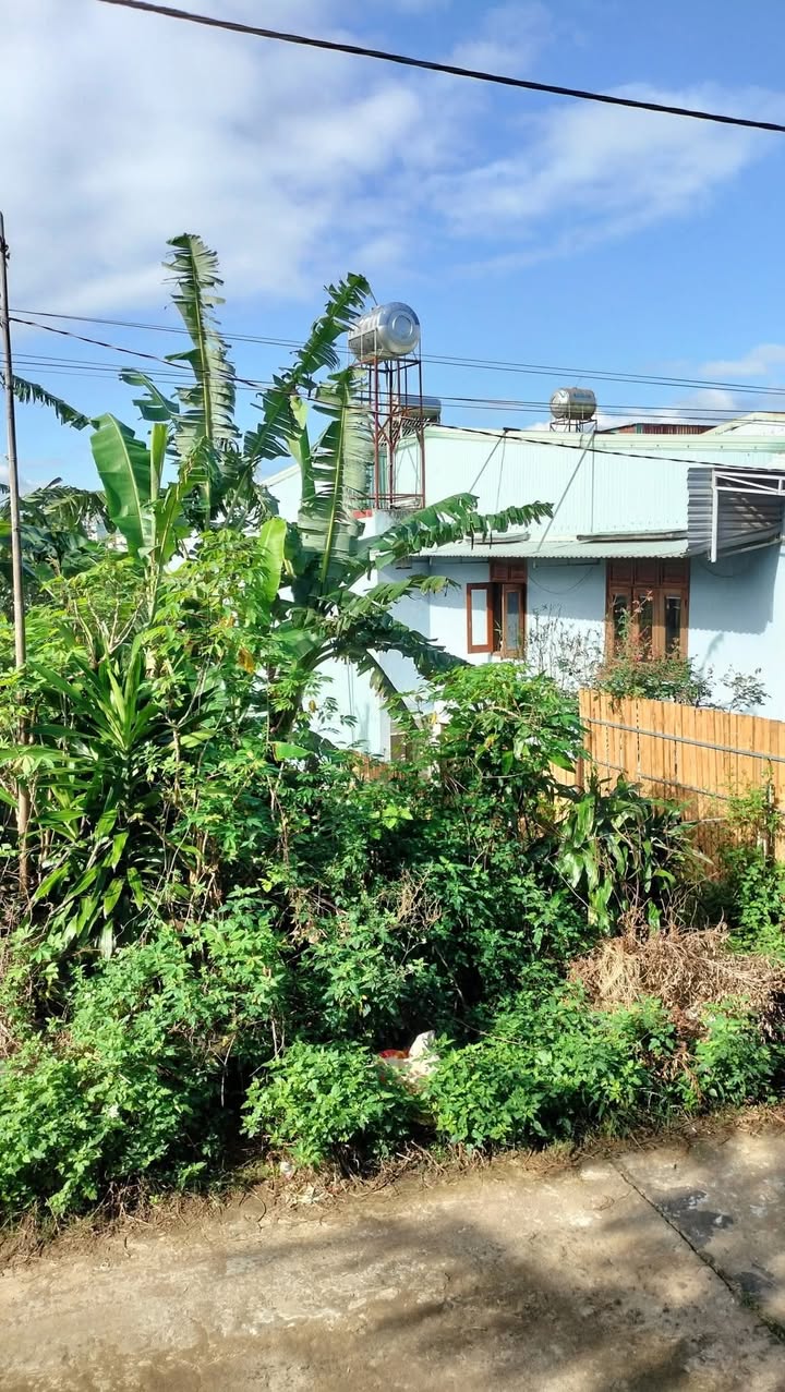 Đất thổ cư 150m² hẻm 279 Phạm Văn Đồng - View cánh đồng mát mẻ