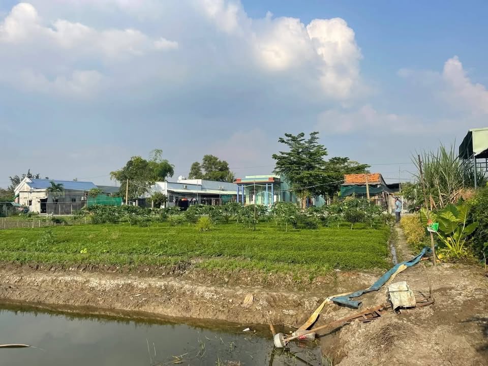 Đất nền Phước Hậu, Cần Giuộc, Long An 2000m² giá 3.7 tỷ - Đầu tư sinh lời!