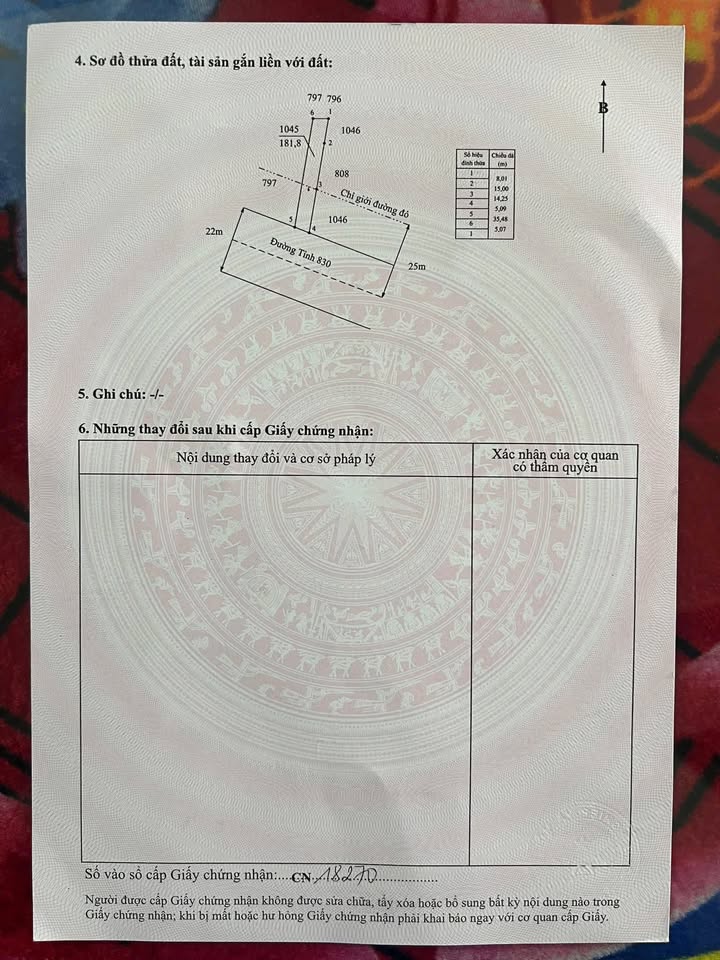 Đất nền mặt tiền TL 830, xã Tân Trạch, 181.8m² - Cơ hội đầu tư lý tưởng!