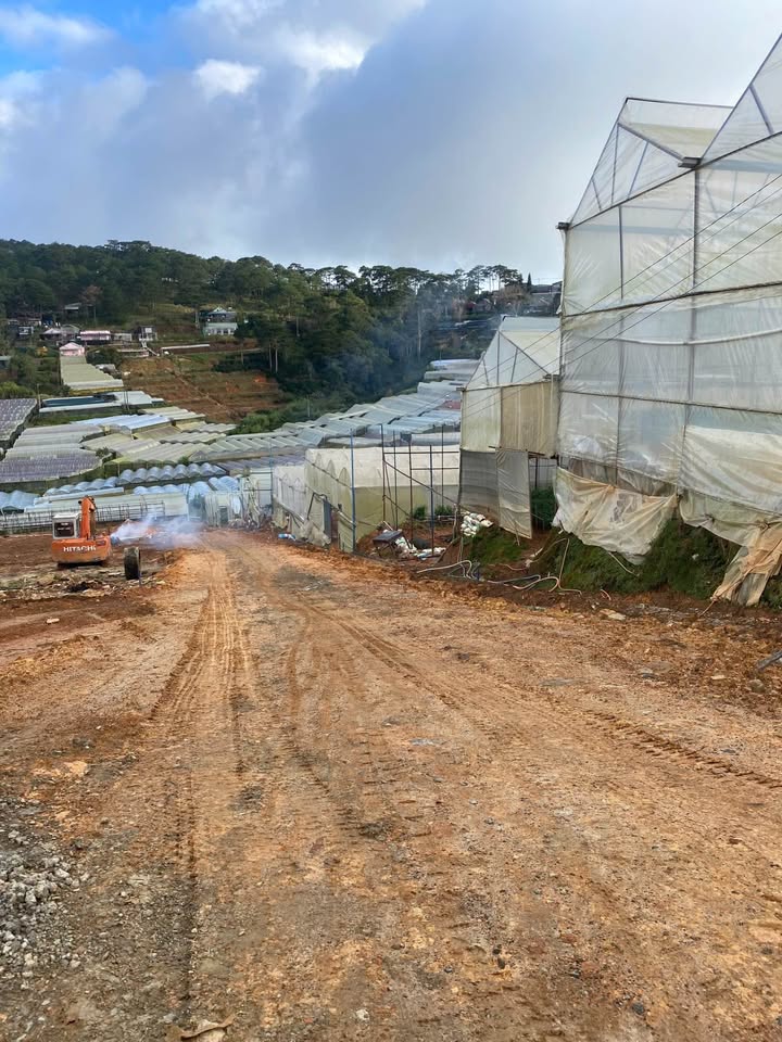 Đất nền Trịnh Hoài Đức Đà Lạt 294m² giá 7.7 tỷ - Tiềm năng nghỉ dưỡng tuyệt vời!