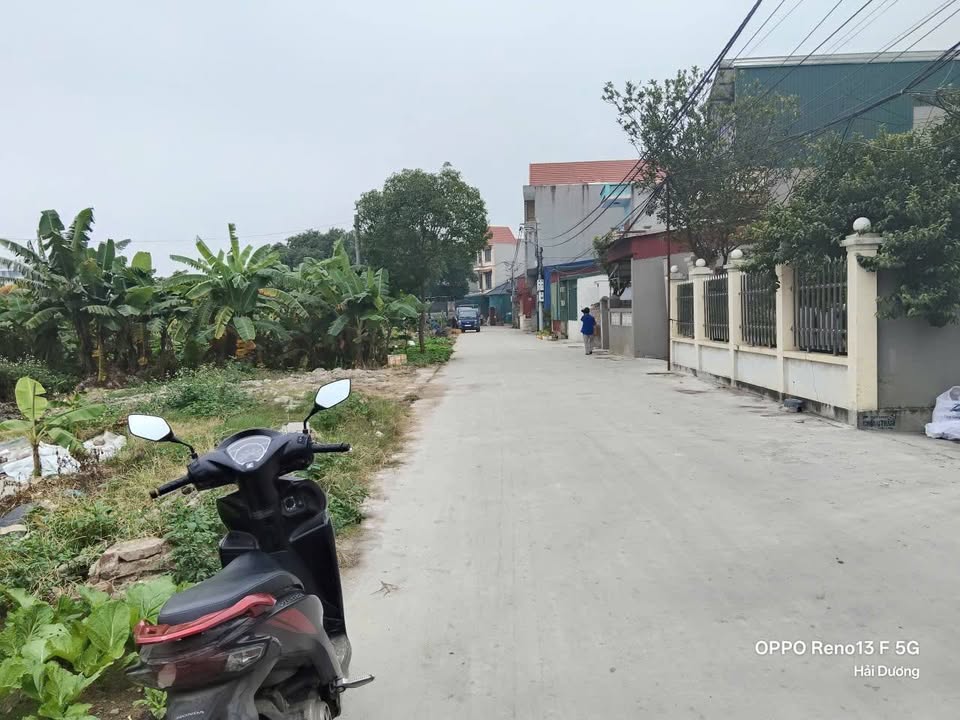 Đất đấu giá Lộ Cương A, phường Tứ Minh, 65m² - Vị trí đắc địa, giá chỉ 2 tỷ!