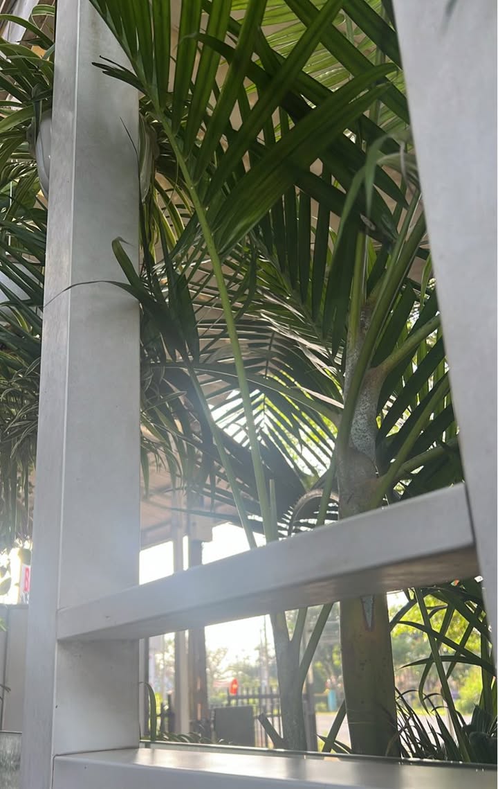 Đất thổ cư ấp 5 Xuân Tâm 198m² giá 750 triệu - Cơ hội đầu tư tuyệt vời!