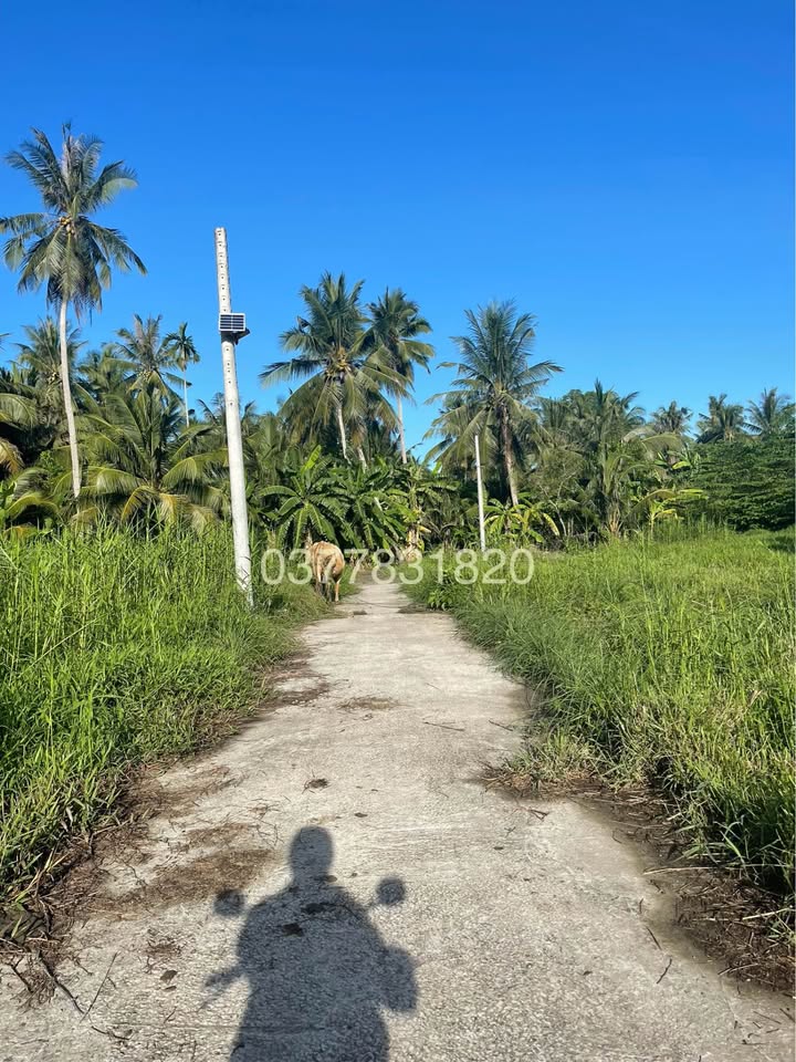 Bán đất mặt tiền đường Huệ Sanh, Trà Vinh 125m² giá chỉ 190 triệu - Đầu tư sinh lời ngay!