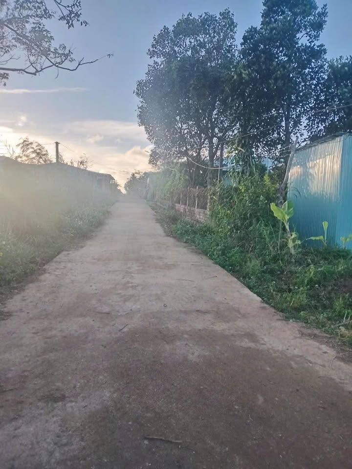 Đất nền hẻm Bùi Viện, P.An Phú 195m² giá chỉ 400 triệu - Cơ hội đầu tư tuyệt vời!