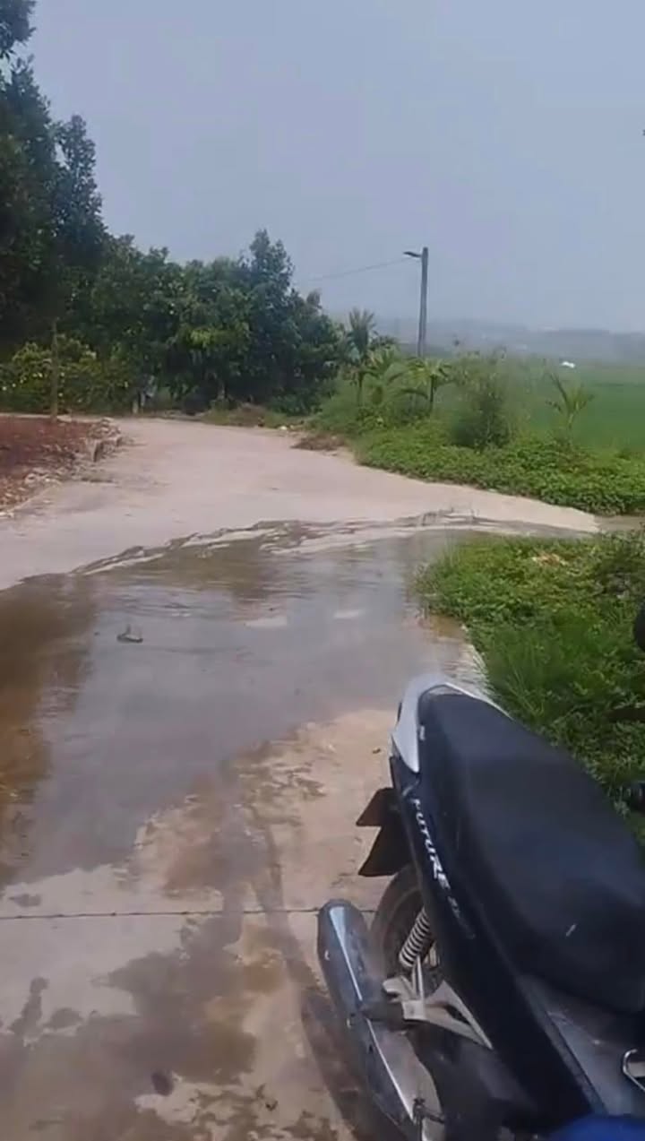 Đất thổ cư Tân Yên Bắc Giang 140m² giá chỉ 500 triệu - Cơ hội đầu tư tuyệt vời!