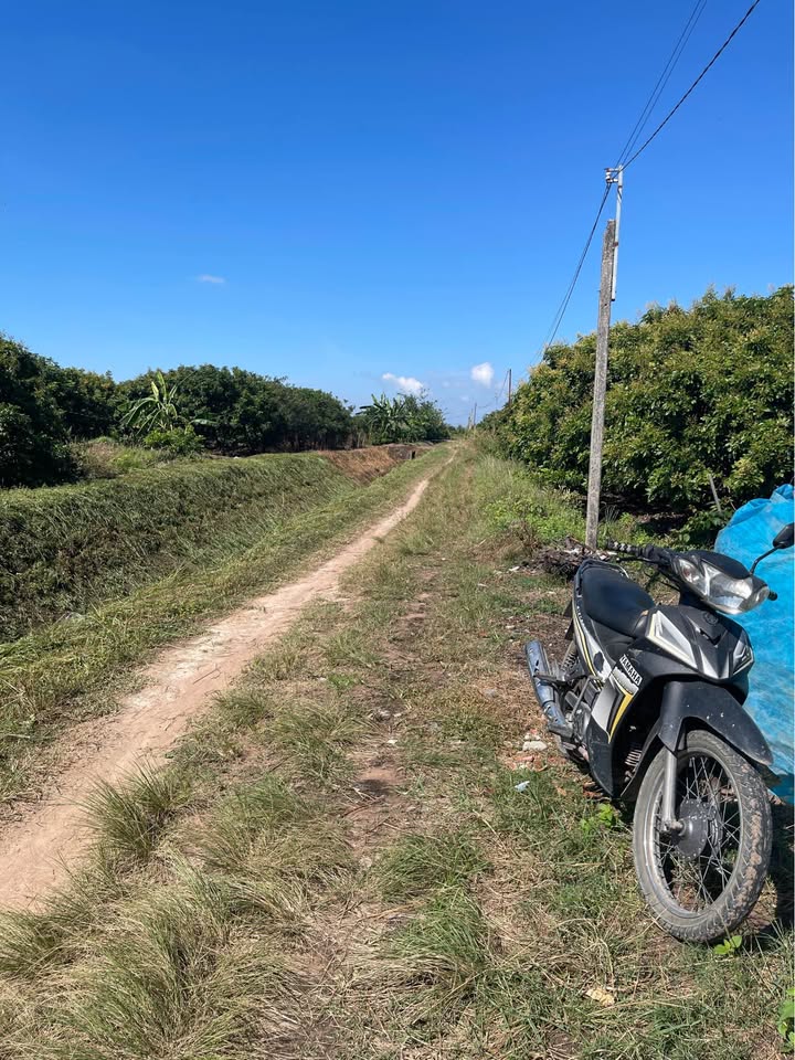 Đất nền Long Hoa, Hòa Thành 1800m² giá 370 triệu - Mặt tiền đường kênh ô tô