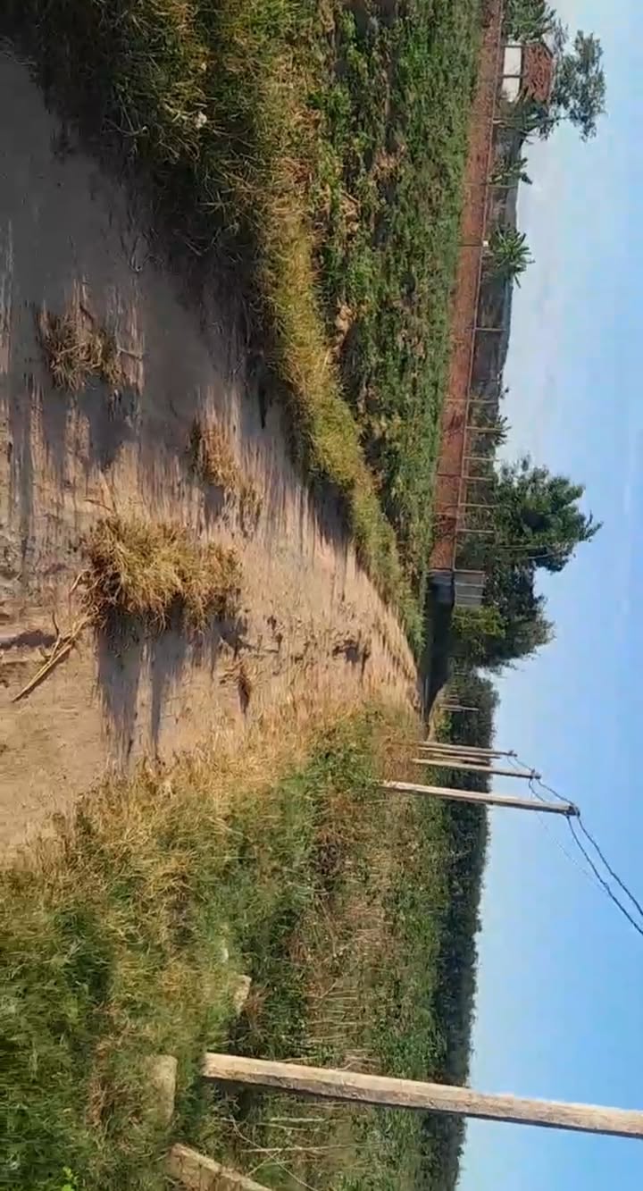 Đất nông nghiệp Vinh Quang, Kon Tum 300m² - Quy hoạch đất ở hấp dẫn!