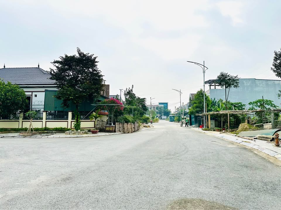 Đất nền Rừng Thông - Đông Sơn 100m² giá 2.2 tỷ - Vị trí đắc địa, tiện ích đầy đủ!