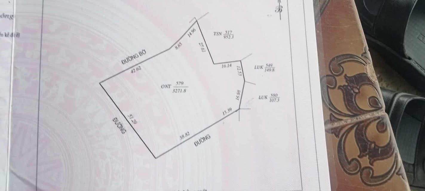 Lô đất Farm khu phố 8, phường Đại Sơn 3271m² - Không gian nghỉ dưỡng lý tưởng!