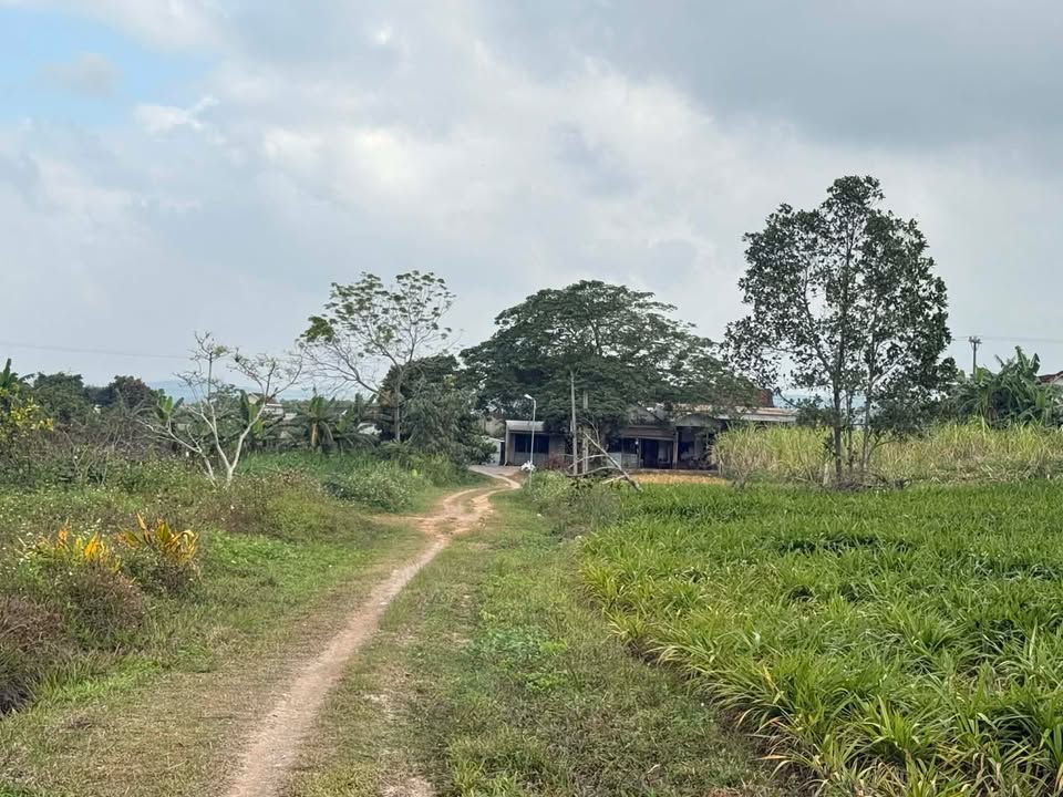 Đất thổ cư thôn 4 Quỳnh Thắng 189m² giá 299 triệu - Cách Quốc lộ 48 chỉ 50m!