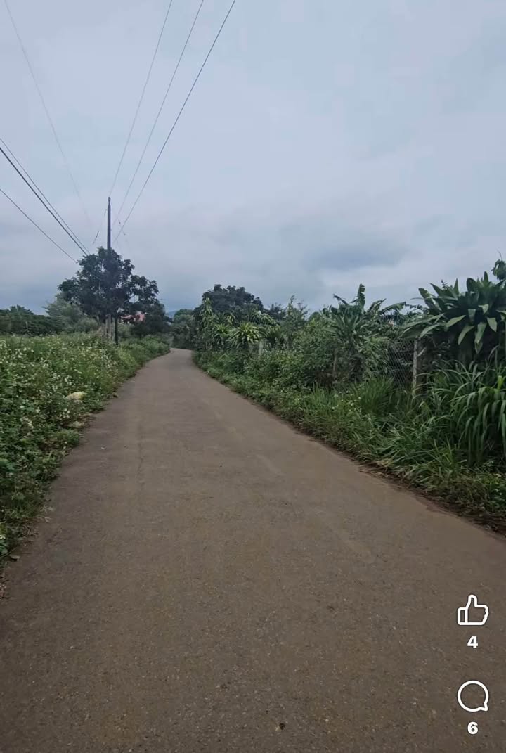 Đất Lộc An Bảo Lâm 1330m² giá 1.25 tỷ - Vị trí đẹp dân cư đông đúc!