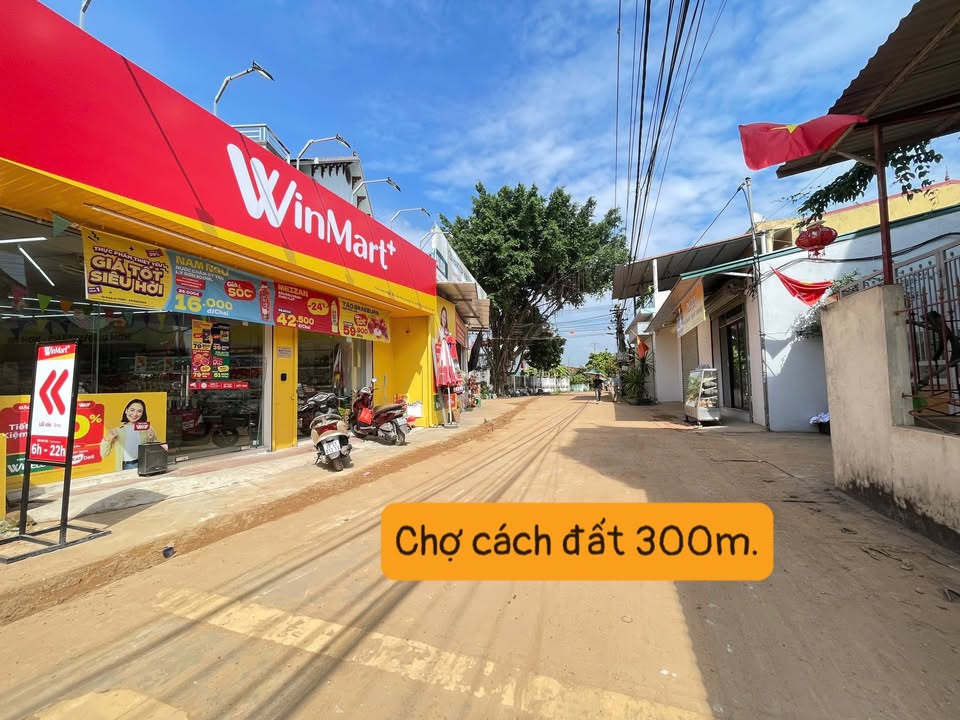 Lô đất thổ cư 80m² Tân Minh, Sóc Sơn giá 1.7 tỷ - Đầu tư sinh lời tuyệt vời!