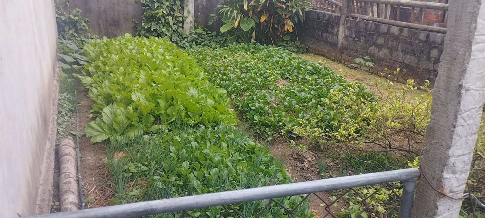 Đất Vĩnh Tân, Vĩnh Cửu 4048m² giá 3.3 tỷ - Cơ hội đầu tư hấp dẫn!