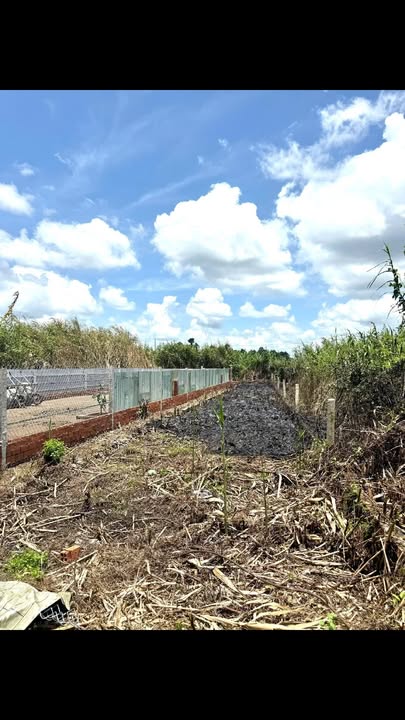 Đất nền Long Hòa, Bình Thủy, Cần Thơ 153m² giá 650 triệu - Chính chủ bán gấp!