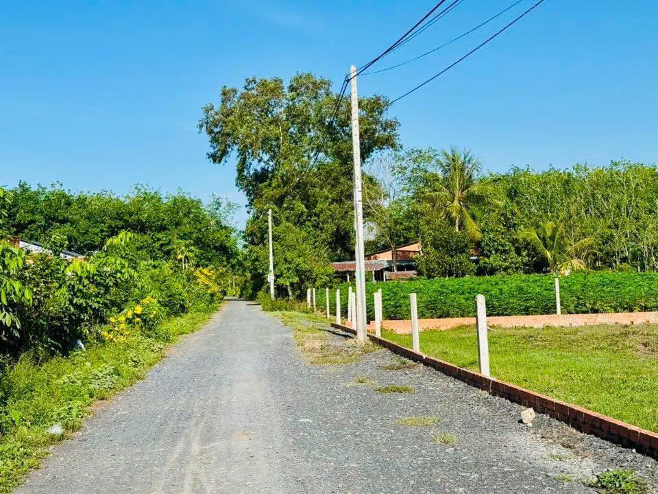 Đất thổ cư Thạnh Đức Gò Dầu 120m² giá chỉ 450 triệu - Cơ hội đầu tư tuyệt vời!