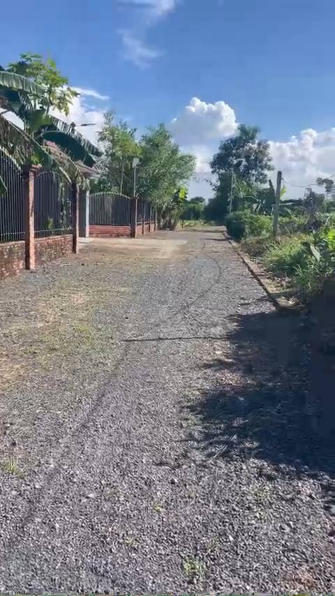 Farm nghỉ dưỡng Vĩnh Tân 1ha giá 7 tỷ - Không gian thiên nhiên tuyệt đẹp!