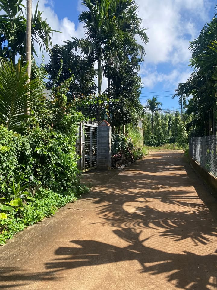 Đất thổ cư Ea Ktur 259m² giá 199 triệu - Cơ hội đầu tư tuyệt vời!