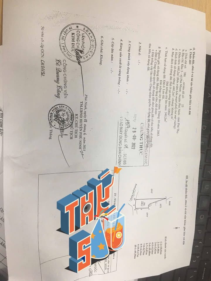 Đất thổ cư 440m² tại Phú Nham, Phù Ninh - Giá chỉ 1.2 tỷ, vị trí đẹp!