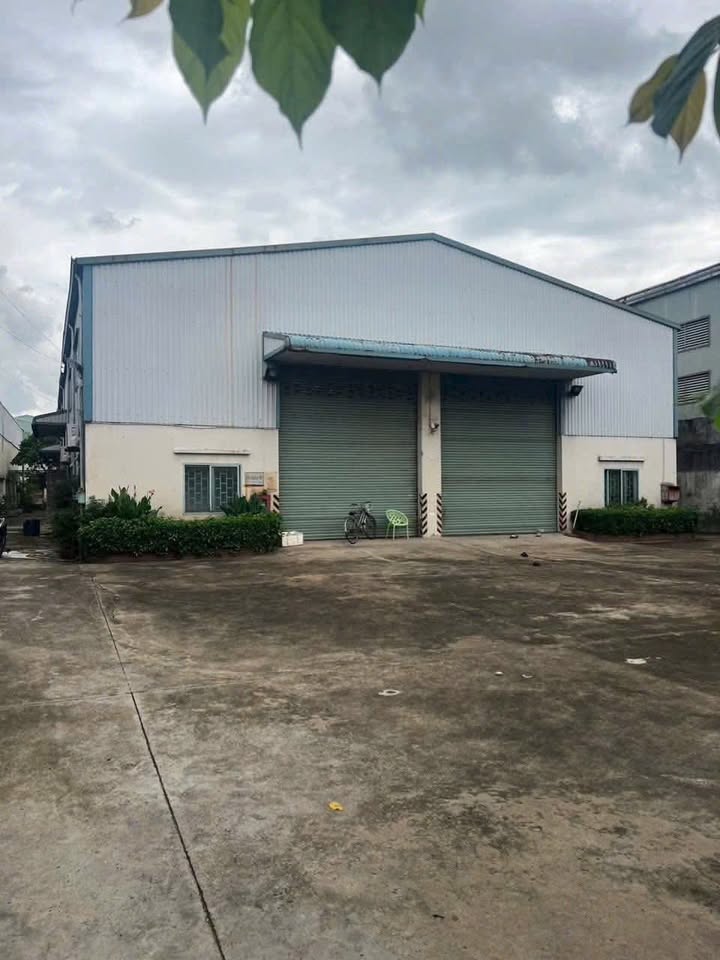 Cho thuê kho xưởng công nghiệp Đức Hòa 3000m² giá 150 triệu - Tiêu chuẩn hiện đại, tiện ích đầy đủ!