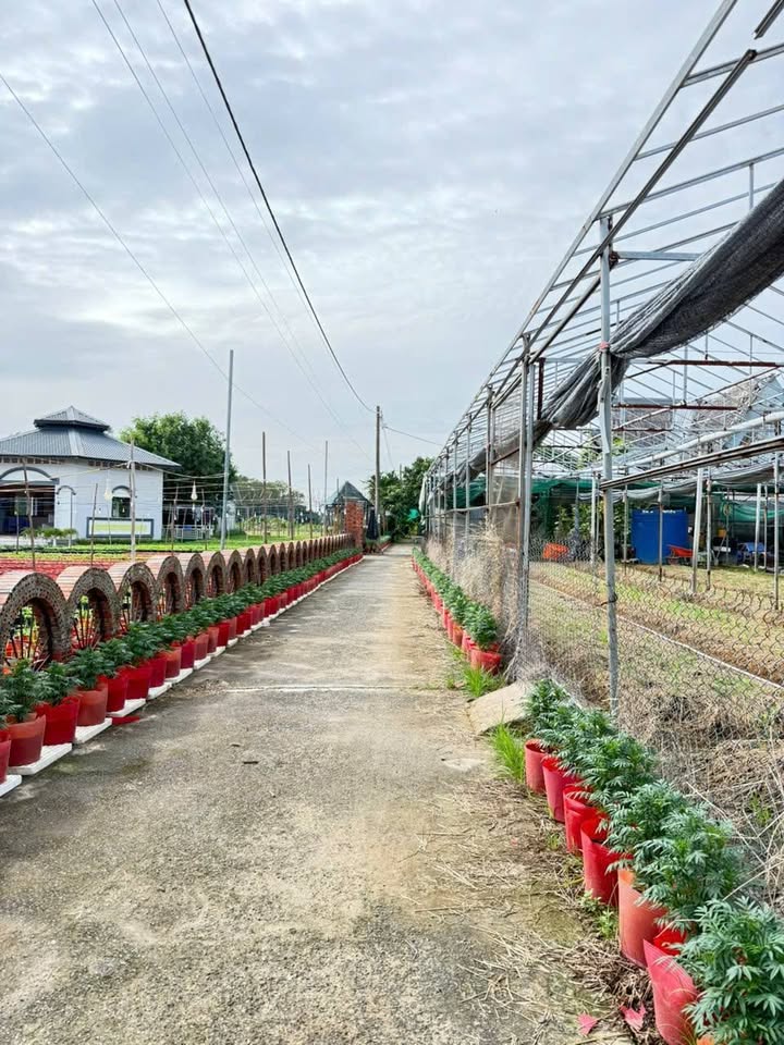 Đất nền An Châu, Châu Thành 500m² - Giá cả thương lượng, phù hợp thu nhập thấp!