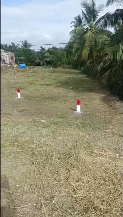 Đất nền lộ nhựa xã Mỹ Thuận, Vĩnh Long 200m² giá 595 triệu - Đầu tư sinh lời ngay!