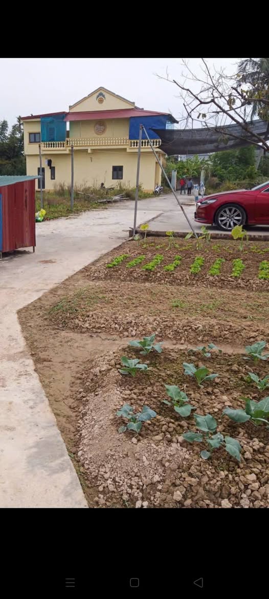 Đất nền Quốc Tuấn, An Dương 50.8m² giá chỉ 670 triệu - Cơ hội vàng cho công nhân