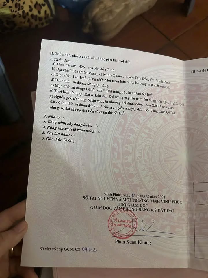 Đất nền Minh Quang Tam Đảo 143m² giá 1 tỷ - Cơ hội đầu tư tuyệt vời!